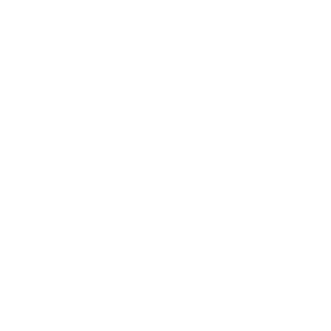 11120323