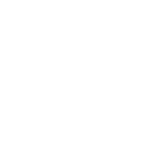 11120323
