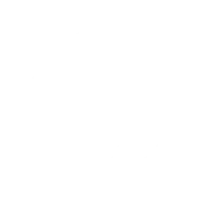 globe-256