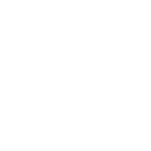 globe-256